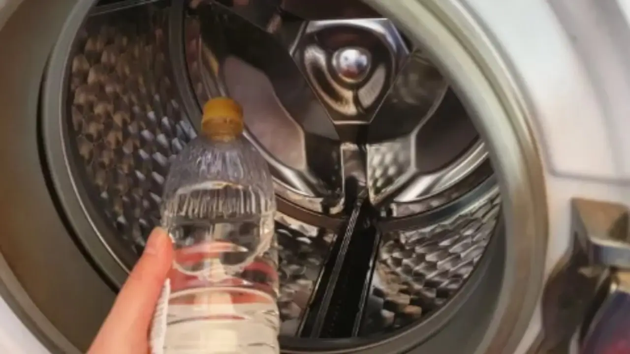 Metti l’aceto in questo punto esatto della lavatrice: il trucco per capi puliti e lavatrice splendida