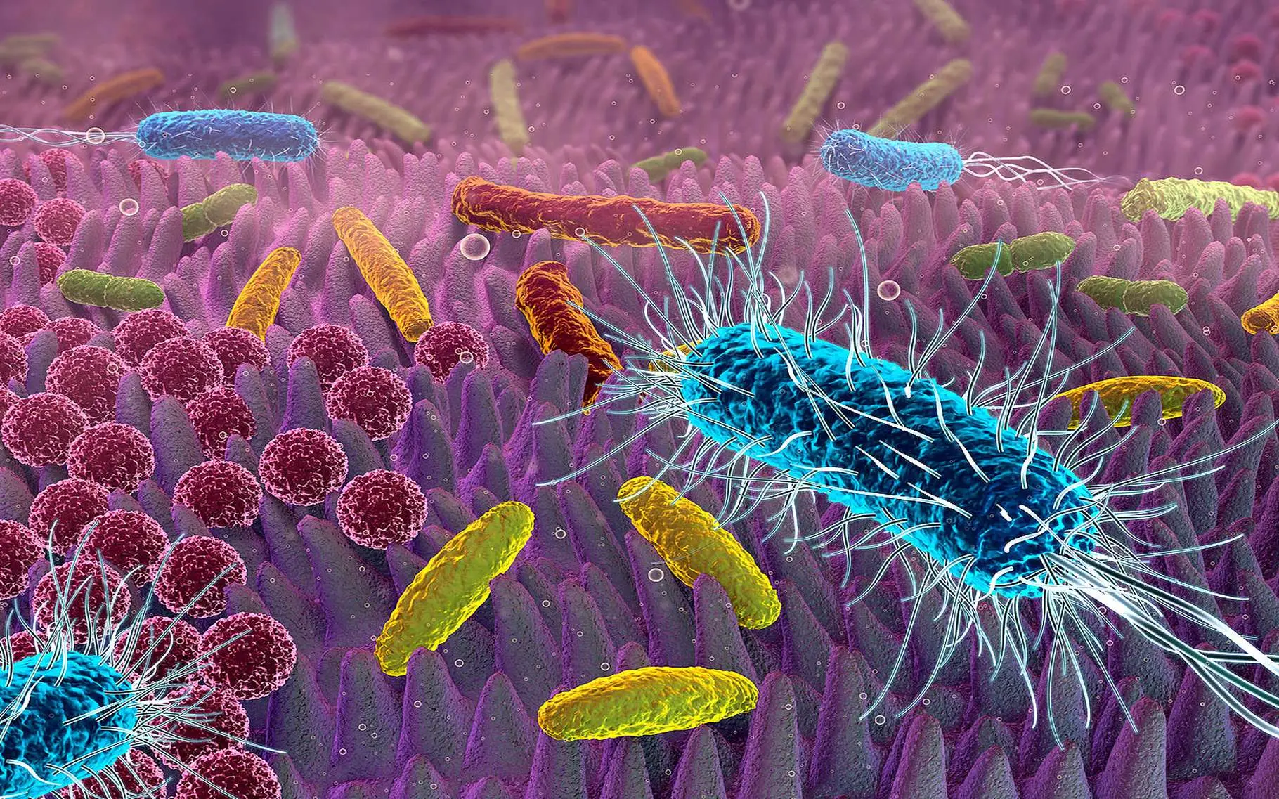 Cos’è un antibatterico? Ecco cosa succede davvero quando lo usi